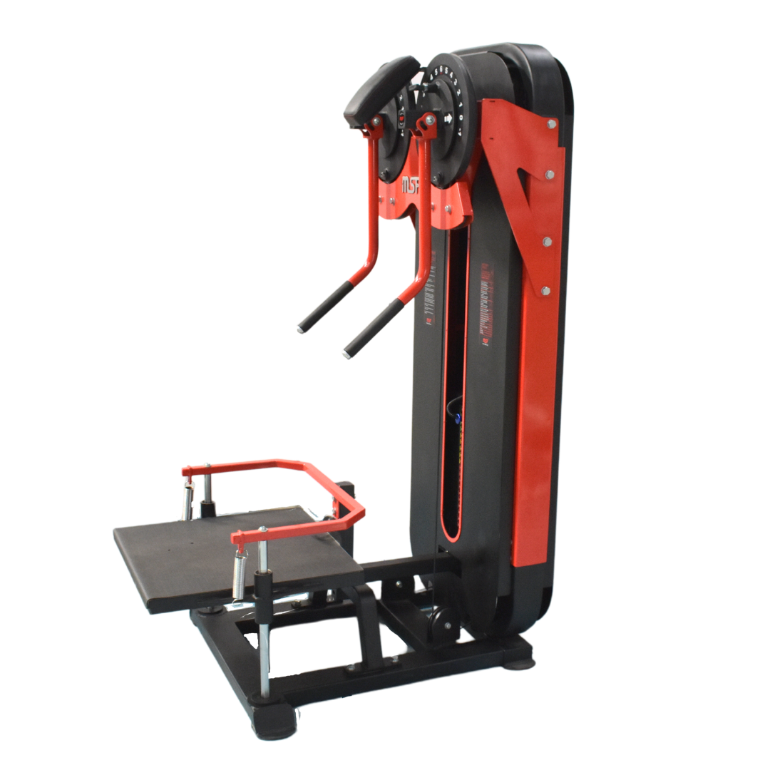 Standing Side Lateral / Side Shoulder Multi Flight Machine (2 in 1