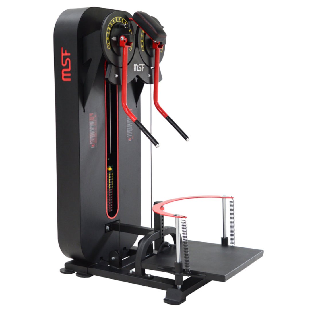 Standing Side Lateral / Side Shoulder Multi Flight Machine (2 in 1