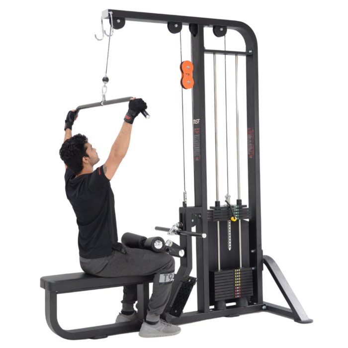 Lat Pulldown/Seated Rowing (Alpha)