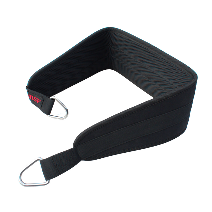 Squat Belt
