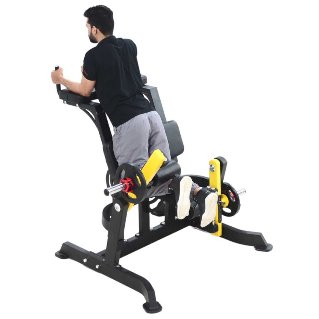 Standing Leg Curl Plate Loaded