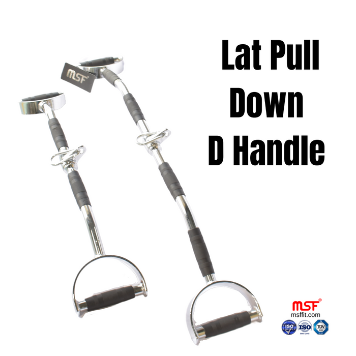 Lat Pull Down D Handle Big & Small