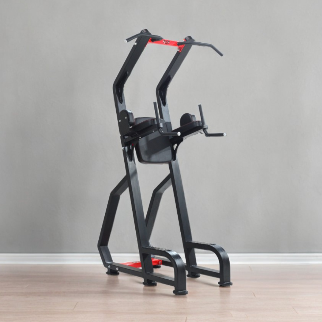 Vertical Knee Raiser/Chin Up Bar/Parallel Bars (3 in 1)