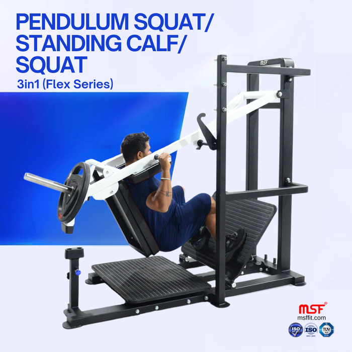 Pendulum Squat Standing Calf Squat 3 in 1