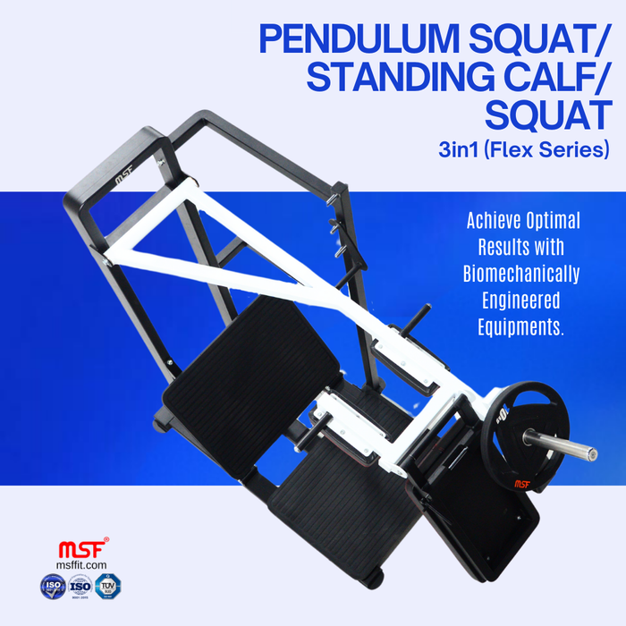 Pendulum Squat Standing Calf Squat 3 in 1