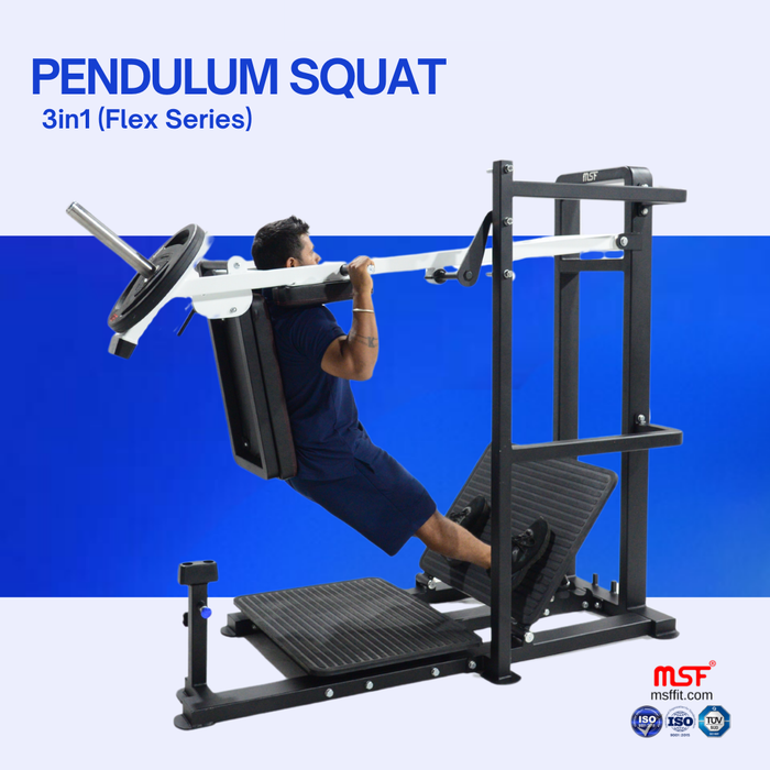 Pendulum Squat Standing Calf Squat 3 in 1