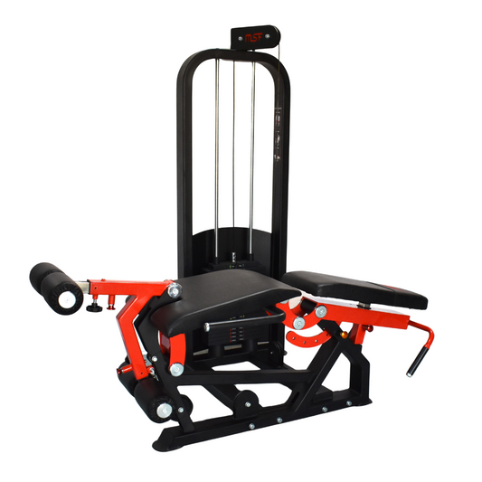 Leg Extension/Prone Leg Curl (2in1) Alpha