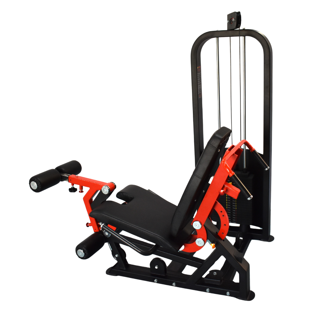 Leg Extension/Prone Leg Curl (2in1) Alpha