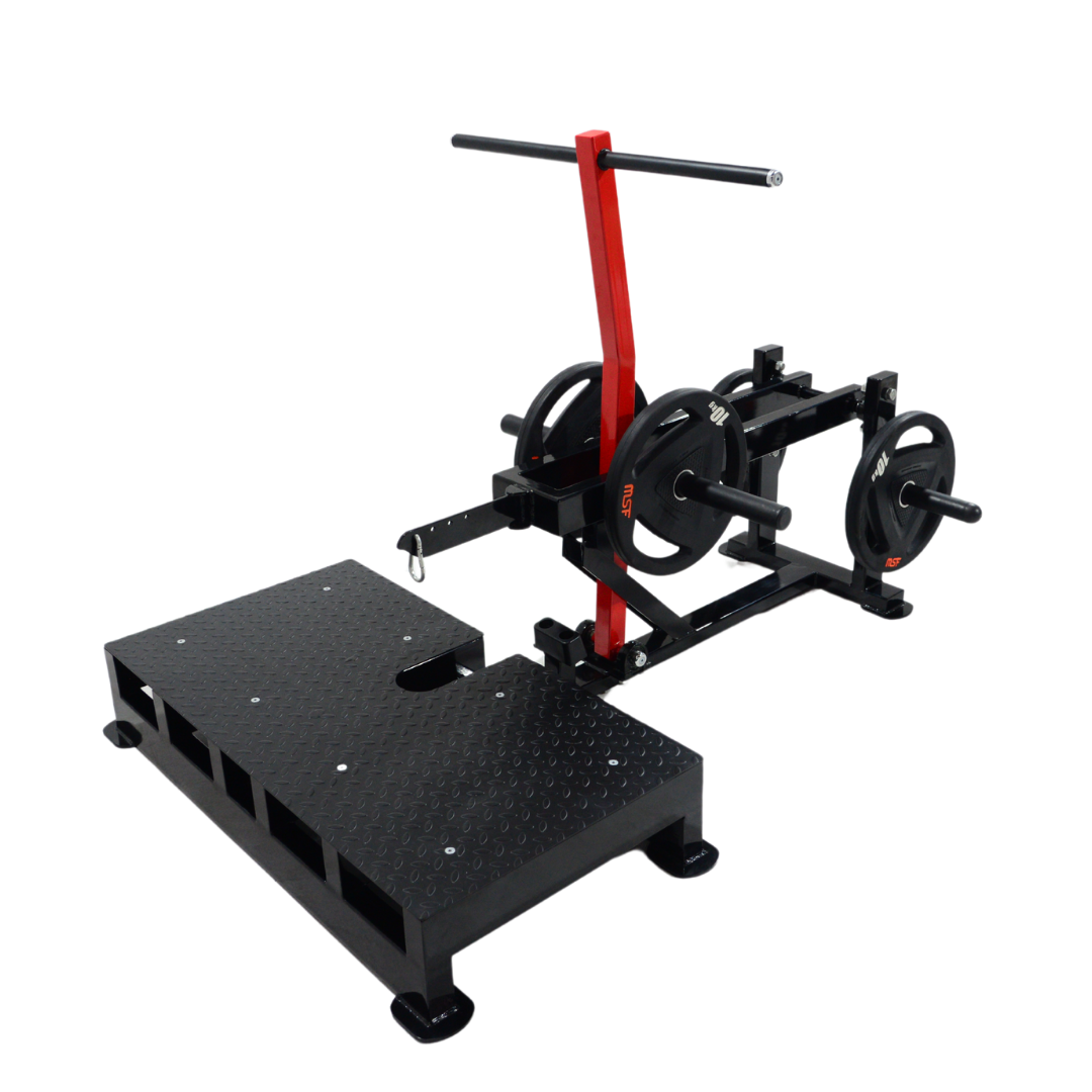 Belt (Sumo) Squat Plate Loaded