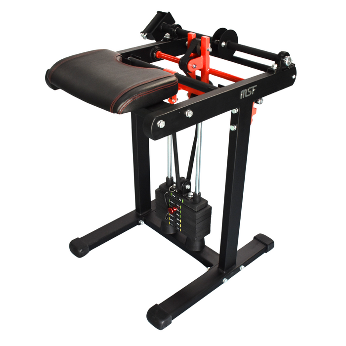 Wrist Curl/Wrist Roller/Forearm Twist/Gorilla Gripper ( 4in1 ) ALPHA