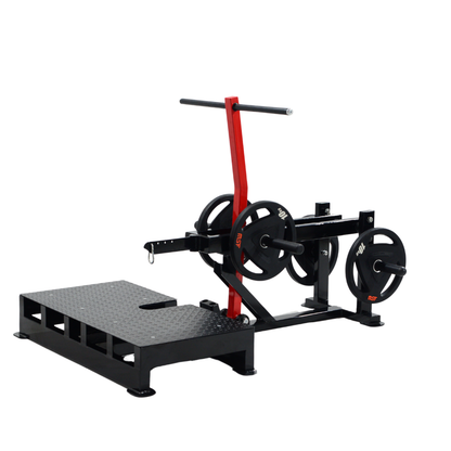 Belt (Sumo) Squat Plate Loaded