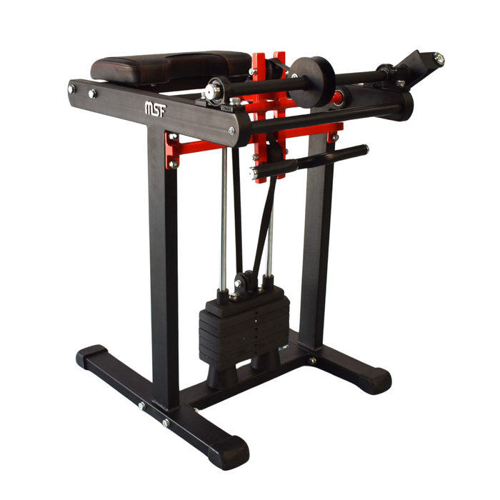 Wrist Curl/Wrist Roller/Forearm Twist/Gorilla Gripper ( 4in1 ) ALPHA