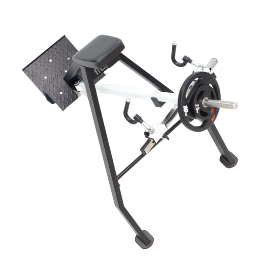 T-Bar Rowing with Chest Support (Plate Loaded)