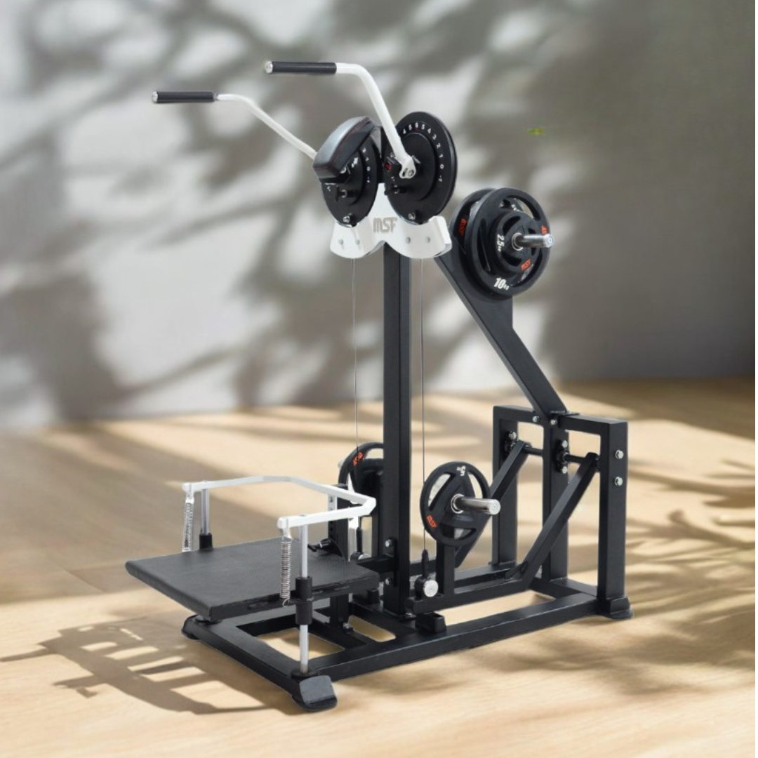 Standing Side Lateral / Side Shoulder Multi Flight Machine 2in1