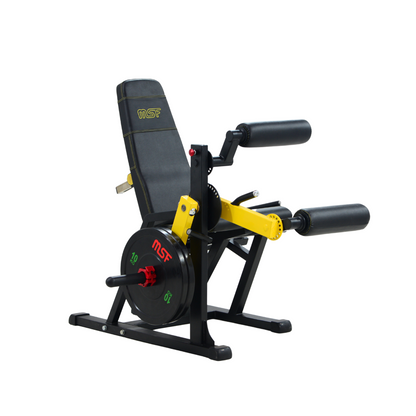 Leg Extension/Leg Curl 2in1 (Plate Loaded)
