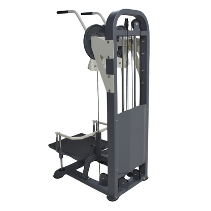 Standing Side Lateral / Side Shoulder Multi Flight Machine (2 in 1) Alpha