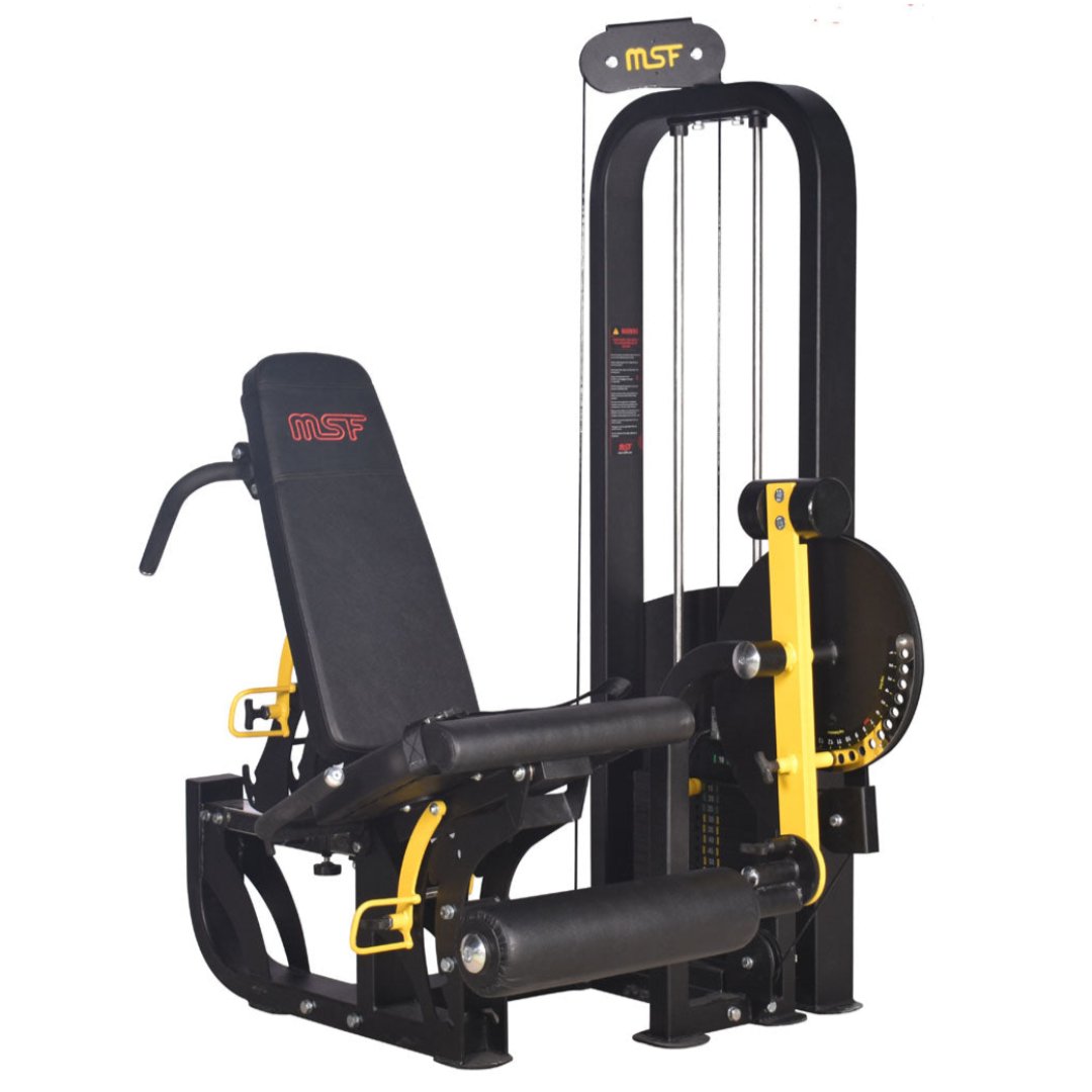 Leg Extension / Leg Curl 4-in-1 (Alpha)