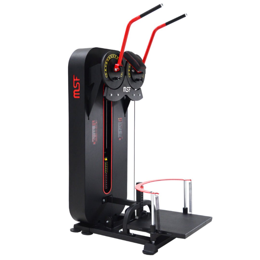 Standing Side Lateral / Side Shoulder Multi Flight Machine (2 in 1