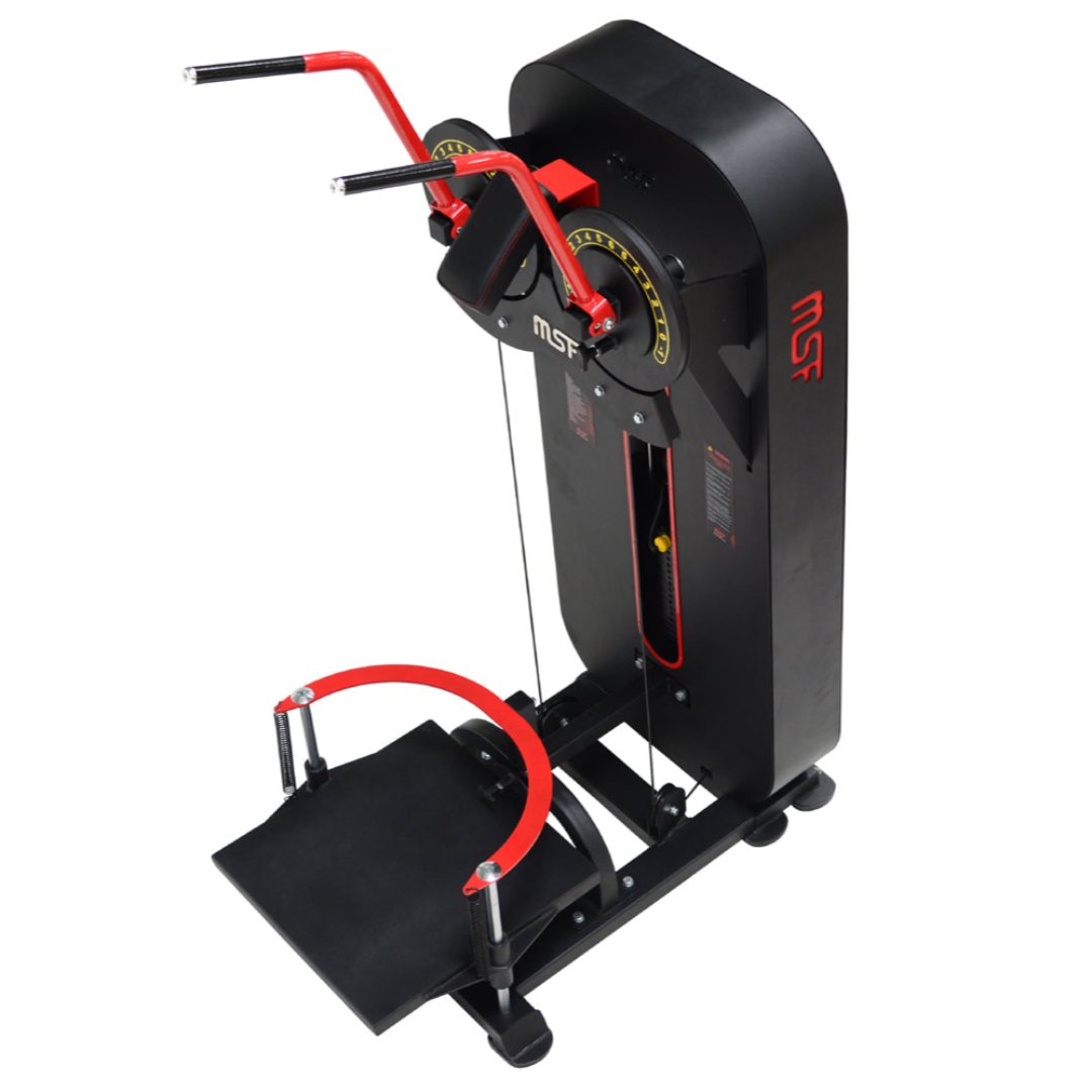 Standing Side Lateral / Side Shoulder Multi Flight Machine (2 in 1) Elite
