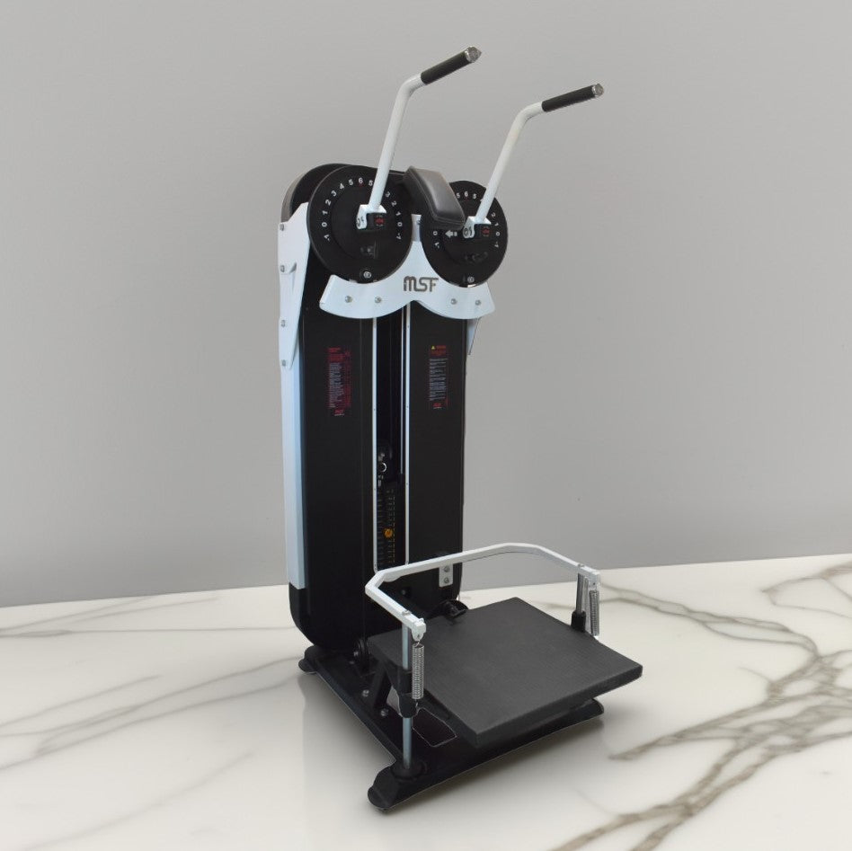 Standing Side Lateral / Side Shoulder Multi Flight Machine (2 in 1