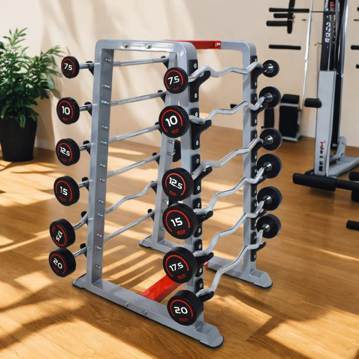 Fixed Barbell Stand with Rubber Molded Hooks