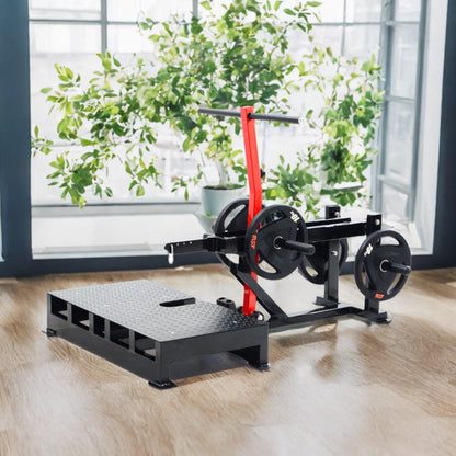 Belt (Sumo) Squat Plate Loaded