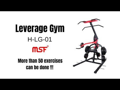 Leverage Home Gym (Plate Loaded)
