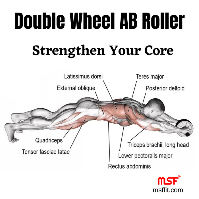 Double Wheel AB Roller