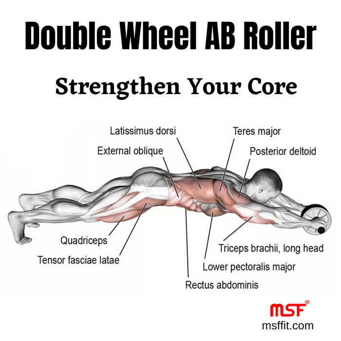 Where does the discount ab roller work