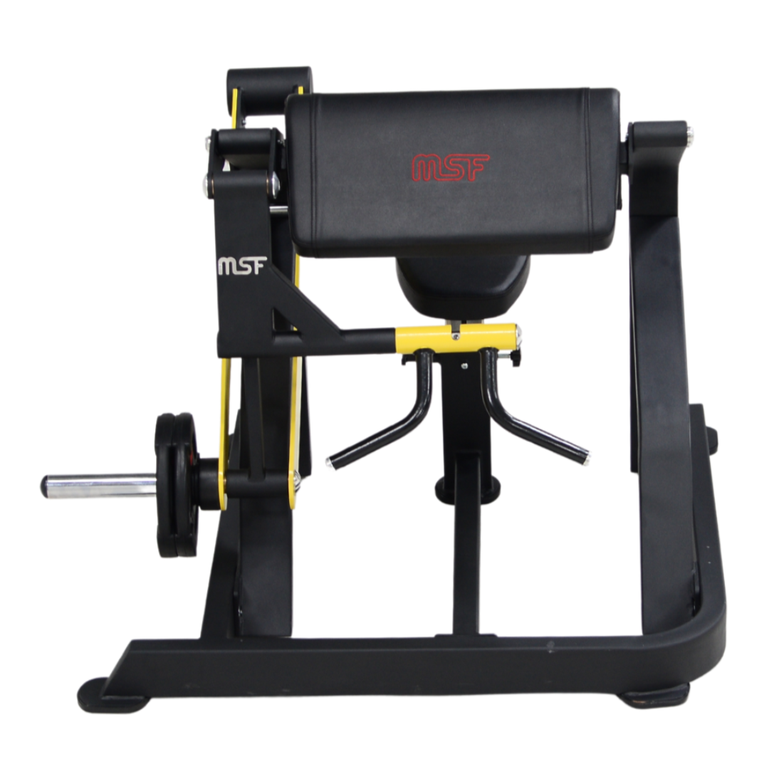 Bicep Curl Plate Loaded