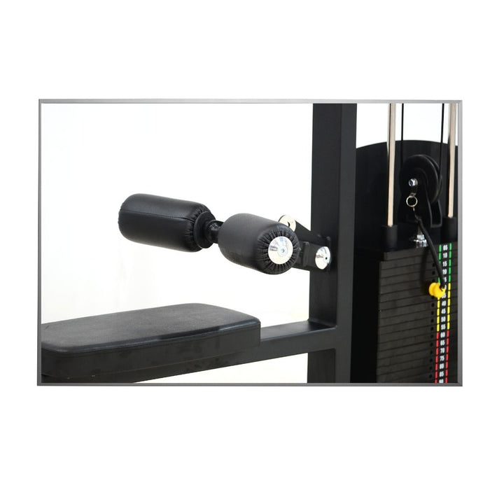 Lat Pulldown Double Pully (Alpha)
