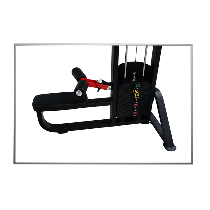 Lat Pull Down (Alpha)