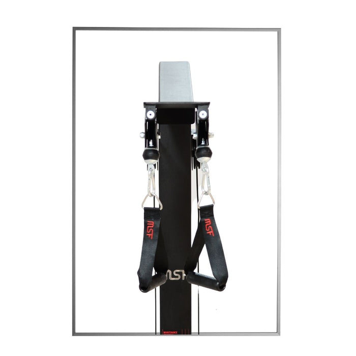 Lat Pulldown Double Pully (Alpha)