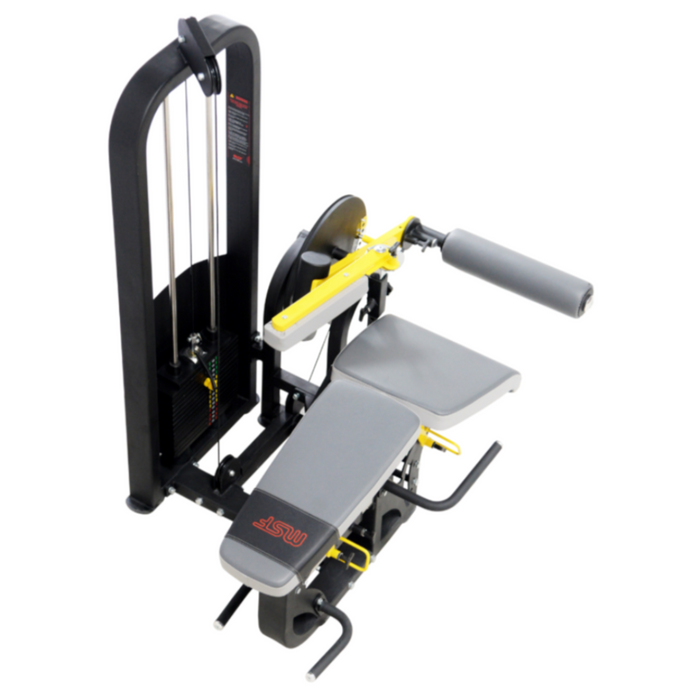 Leg Extension / Leg Curl 4-in-1 (Alpha)
