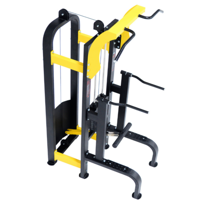 Weight Assisted Chin Dip Combo (Alpha)