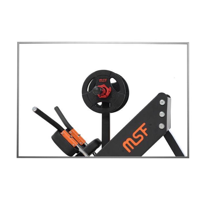 Hack Squat/Leg press (Plate Loaded)