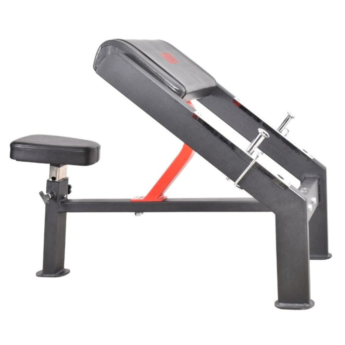 Preacher Curl Bench