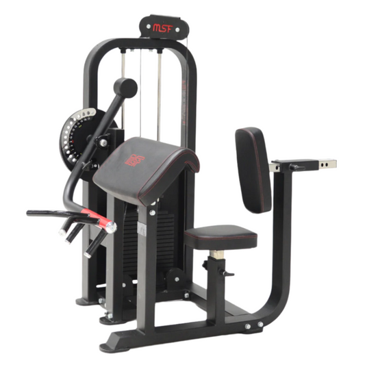 Bicep/Tricep Curl (Alpha)