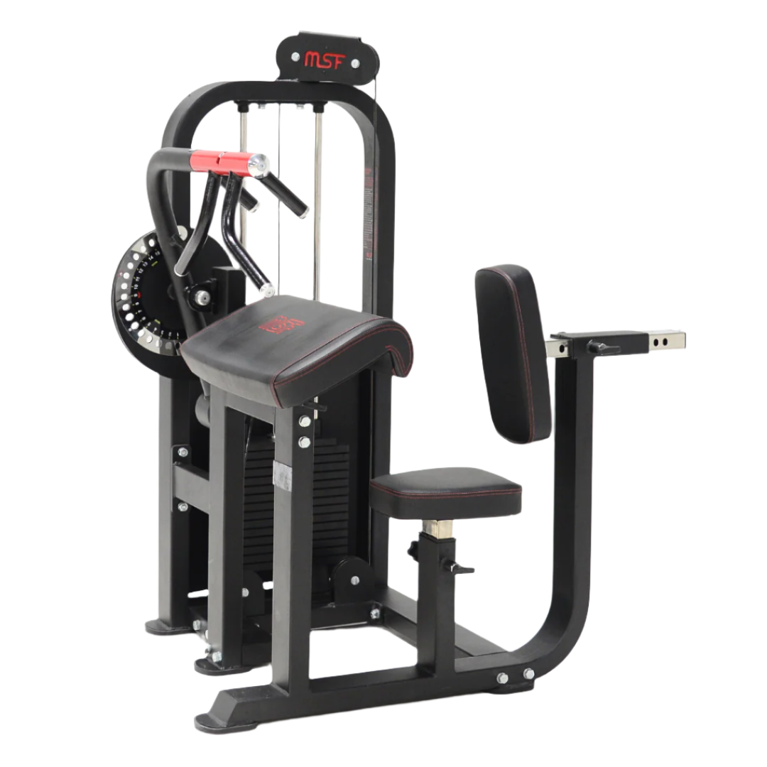 Bicep/Tricep Curl (Alpha)