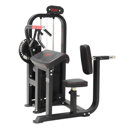 Bicep/Tricep Curl (Alpha)