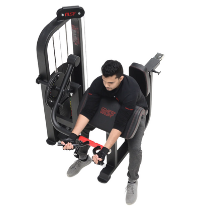 Bicep/Tricep Curl (Alpha)