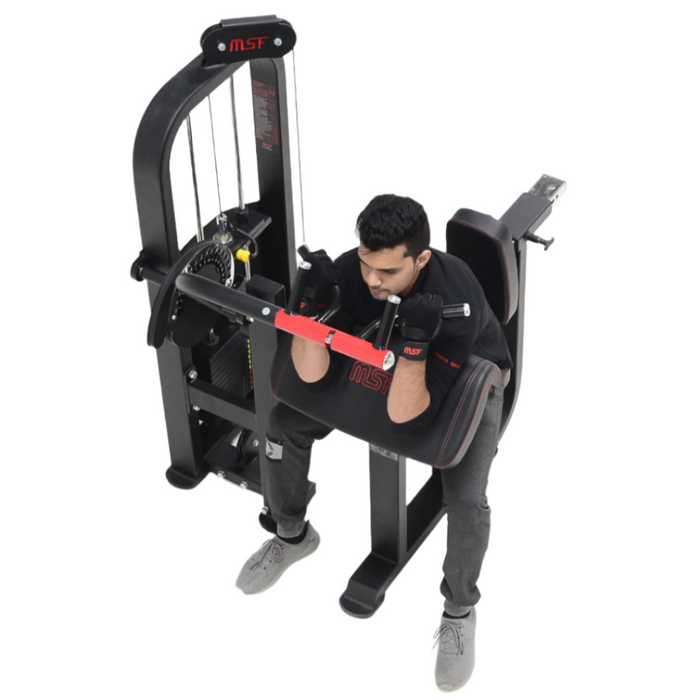 Bicep/Tricep Curl (Alpha)