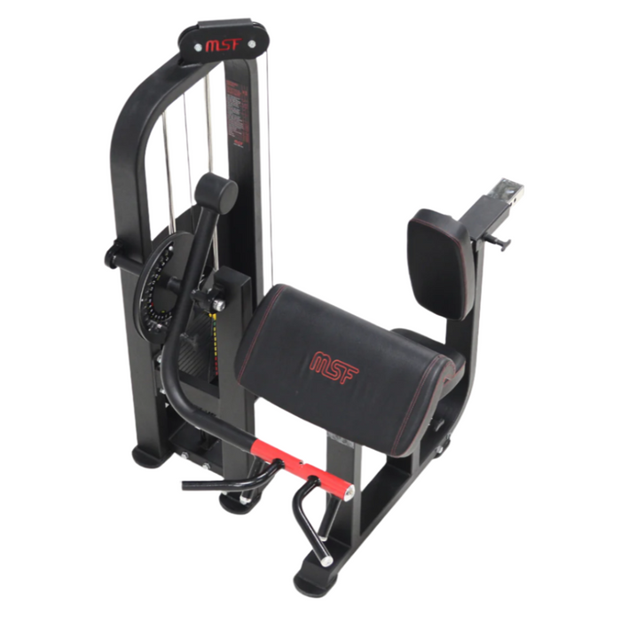 Bicep/Tricep Curl (Alpha)