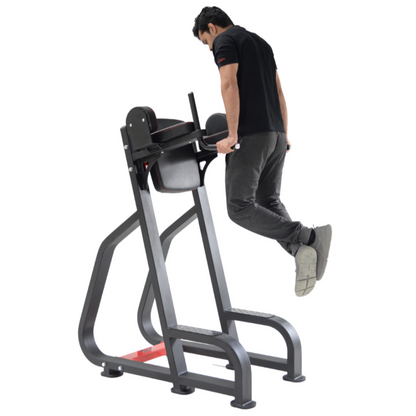Vertical Knee Raiser/Parallel Bar (Ultra)