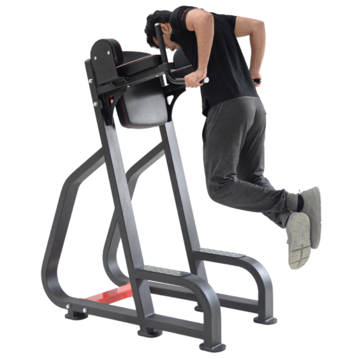 Vertical Knee Raiser/Parallel Bar (Ultra)