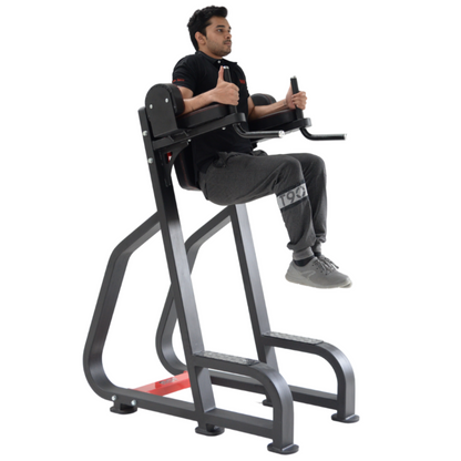 Vertical Knee Raiser/Parallel Bar (Ultra)