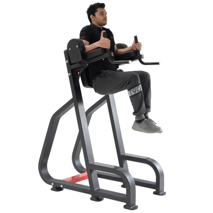 Vertical Knee Raiser/Parallel Bar (Ultra)