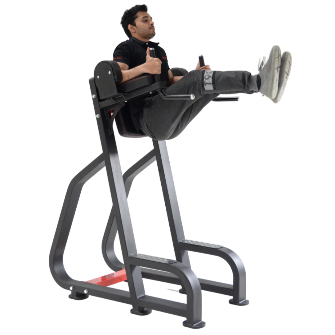 Vertical Knee Raiser/Parallel Bar (Ultra)