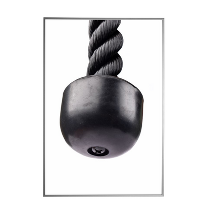 Tricep Rope Single