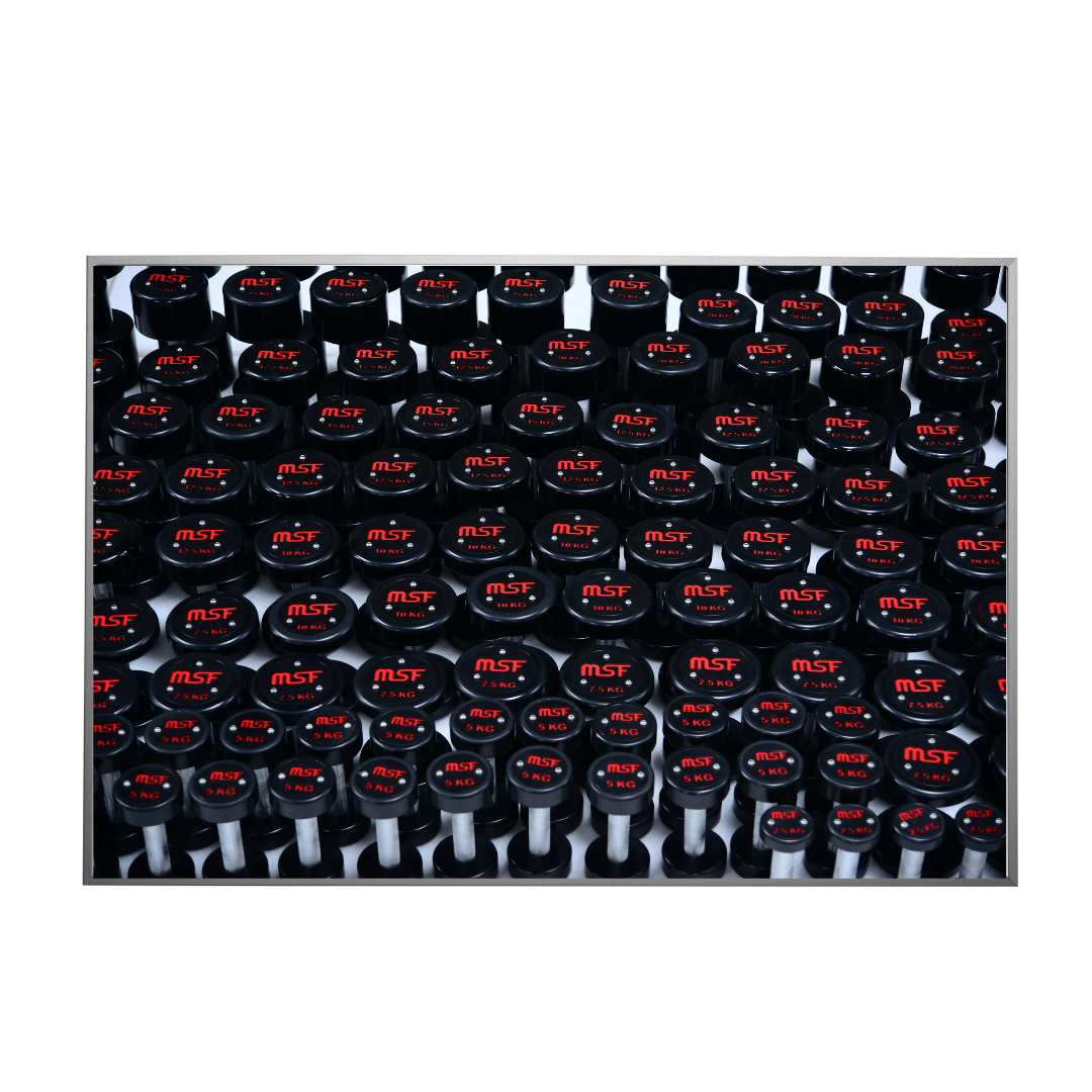 Dumbbells Round (Mild Steel)